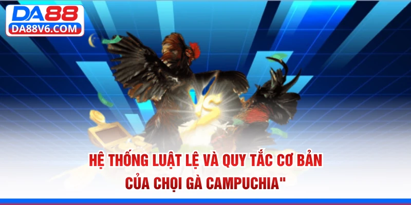 Hệ thống luật lệ và quy tắc cơ bản của chọi gà Campuchia 