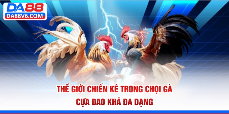 Thế giới chiến kê trong chọi gà cựa dao khá đa dạng